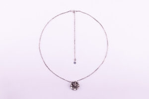 Coll-Dalia-60
